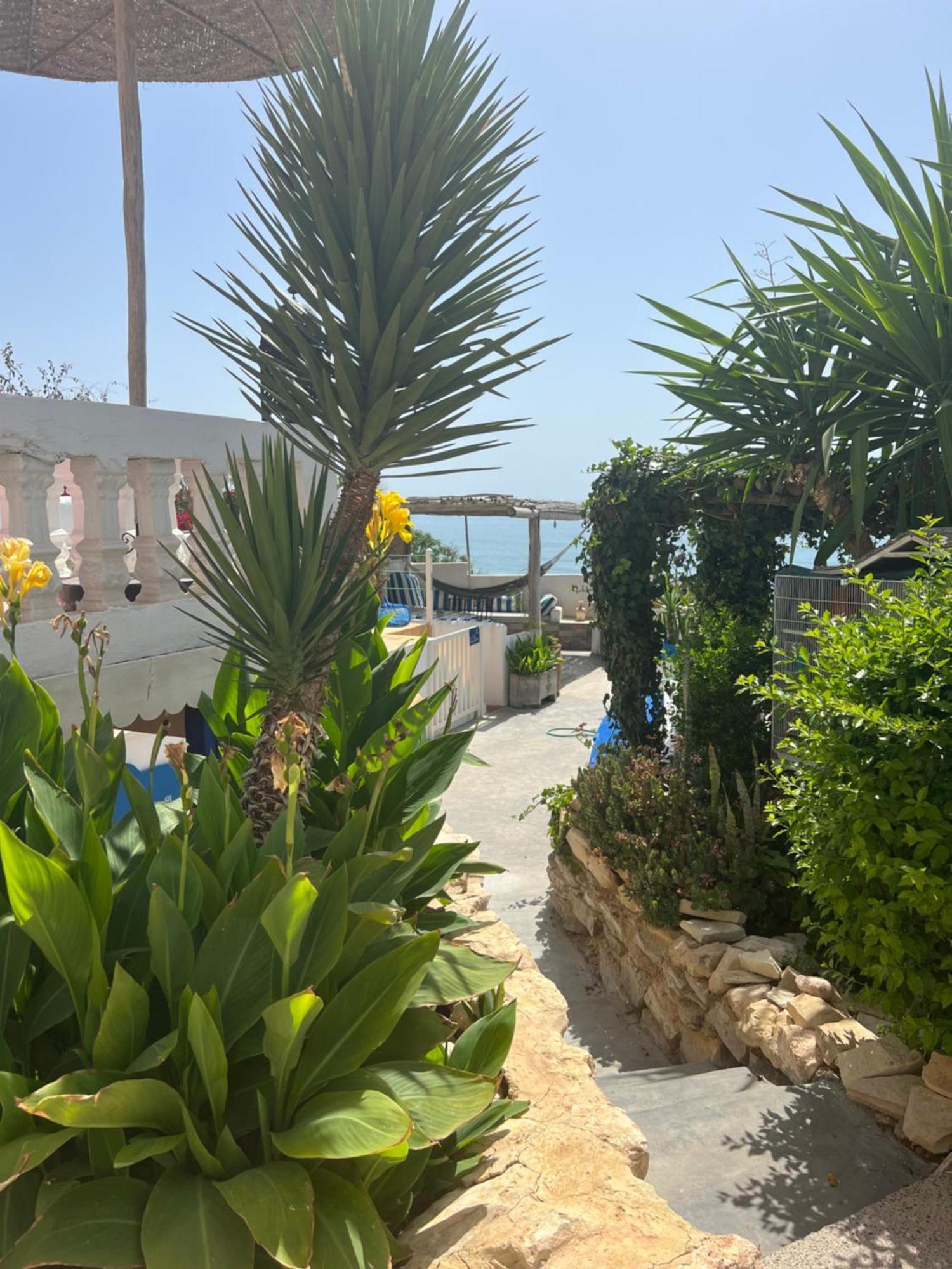 Villa Jardin De L'Ocean Аурир Екстериор снимка