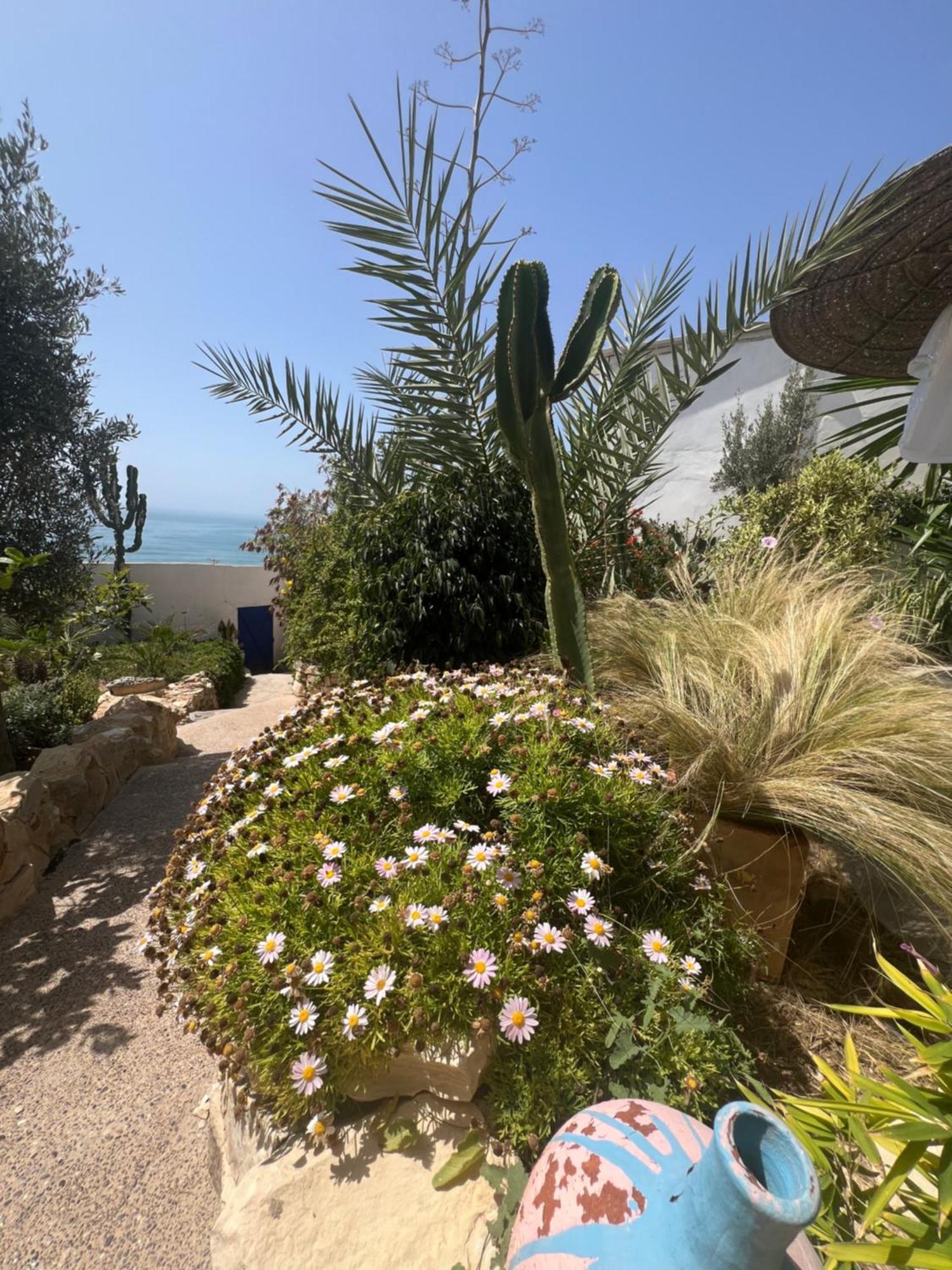 Villa Jardin De L'Ocean Аурир Екстериор снимка